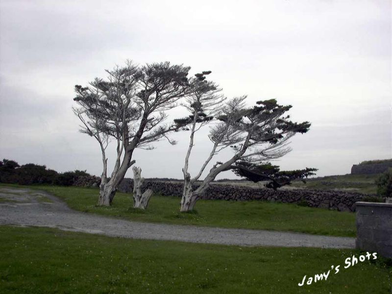 Fukinagashi aux vents sur l'ile d'Aran