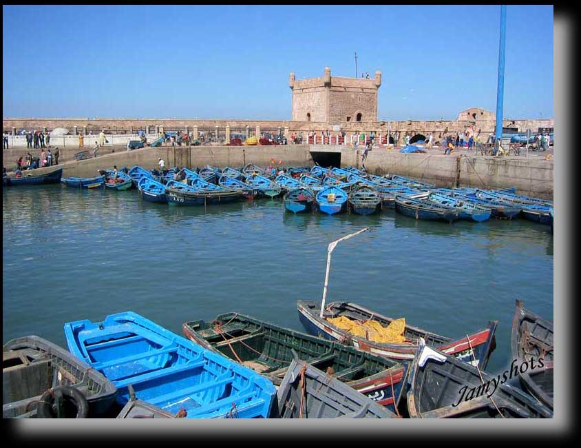 Essaouira le fortin
