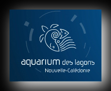 Cliquez ici pour rejoindre l'Aquarium de Nouma