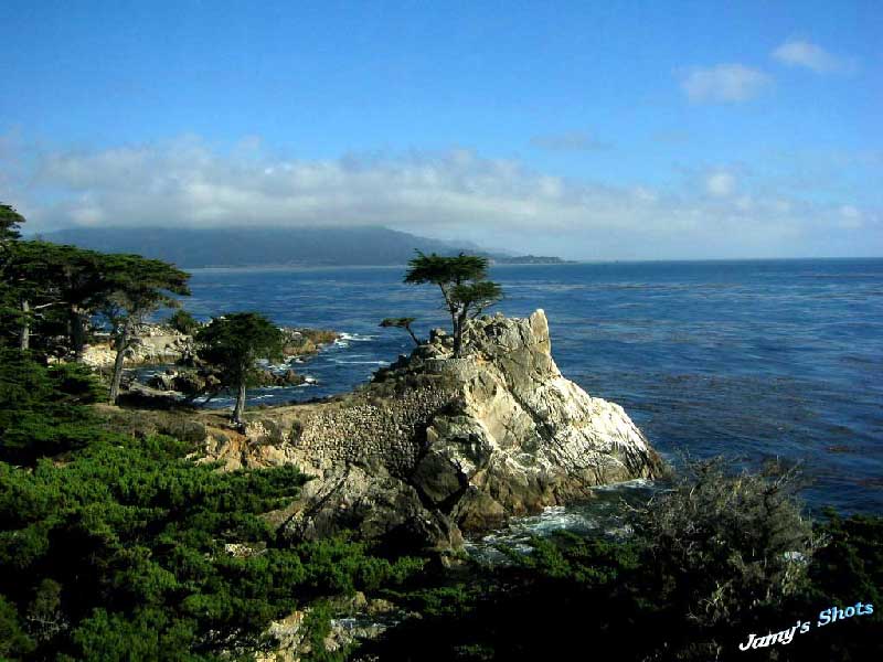 The 'Lone Cypress"