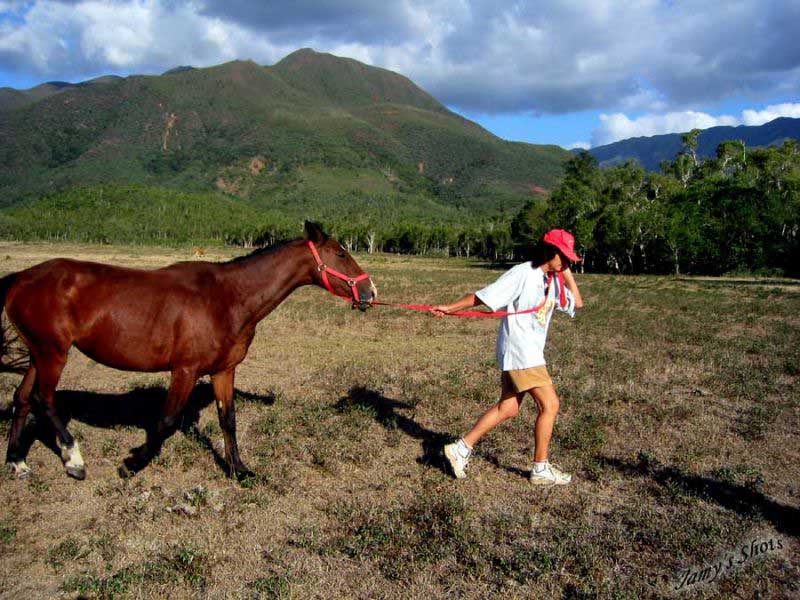 Yanita rcupre ses chevaux