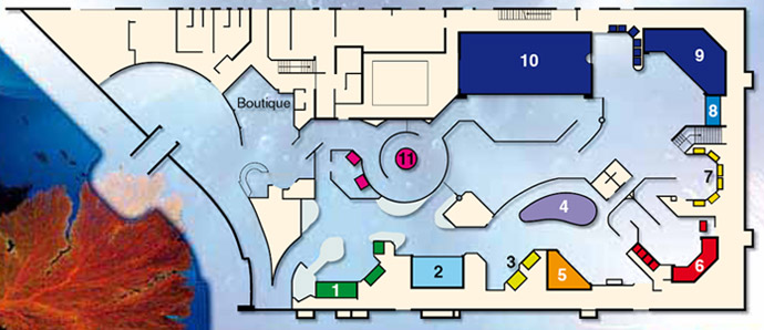 Plan de l'aquarium de Nouma